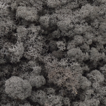 Licheni natural 500gr antracit AFO
