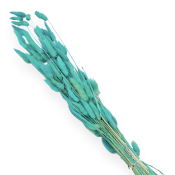 Buchet lagurus mare Smarald