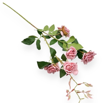Fir Trandafir Salbatic Premium Roz Pudra