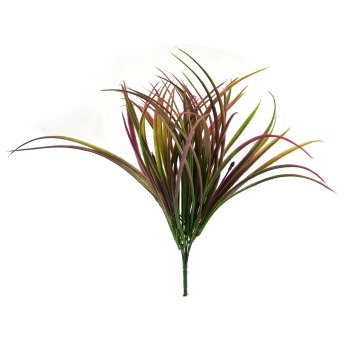 Buchet Cordyline Verde cu Mov afo